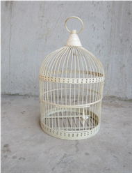 pierced bird cage 