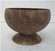 coconut cup