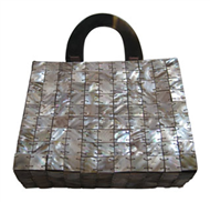 Vietnam Seashell bag