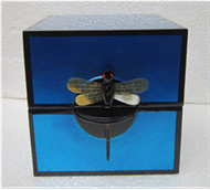 square box with dragonfly key