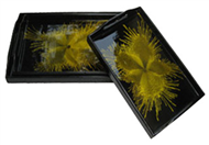 set of 3 trays with hole handle