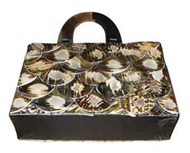 Vietnam Seashell bag
