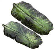 set of 2 banana leaf trays