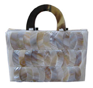 Vietnam Seashell bag