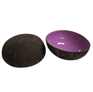lacquer coconut bowl