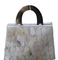 Vietnam Seashell bag