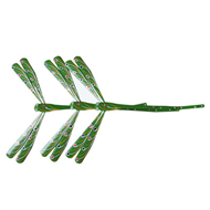 bamboo finger balancing dragonfly