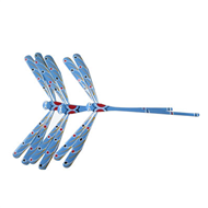 bamboo finger balancing dragonfly