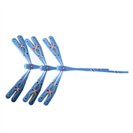 bamboo finger balancing dragonfly